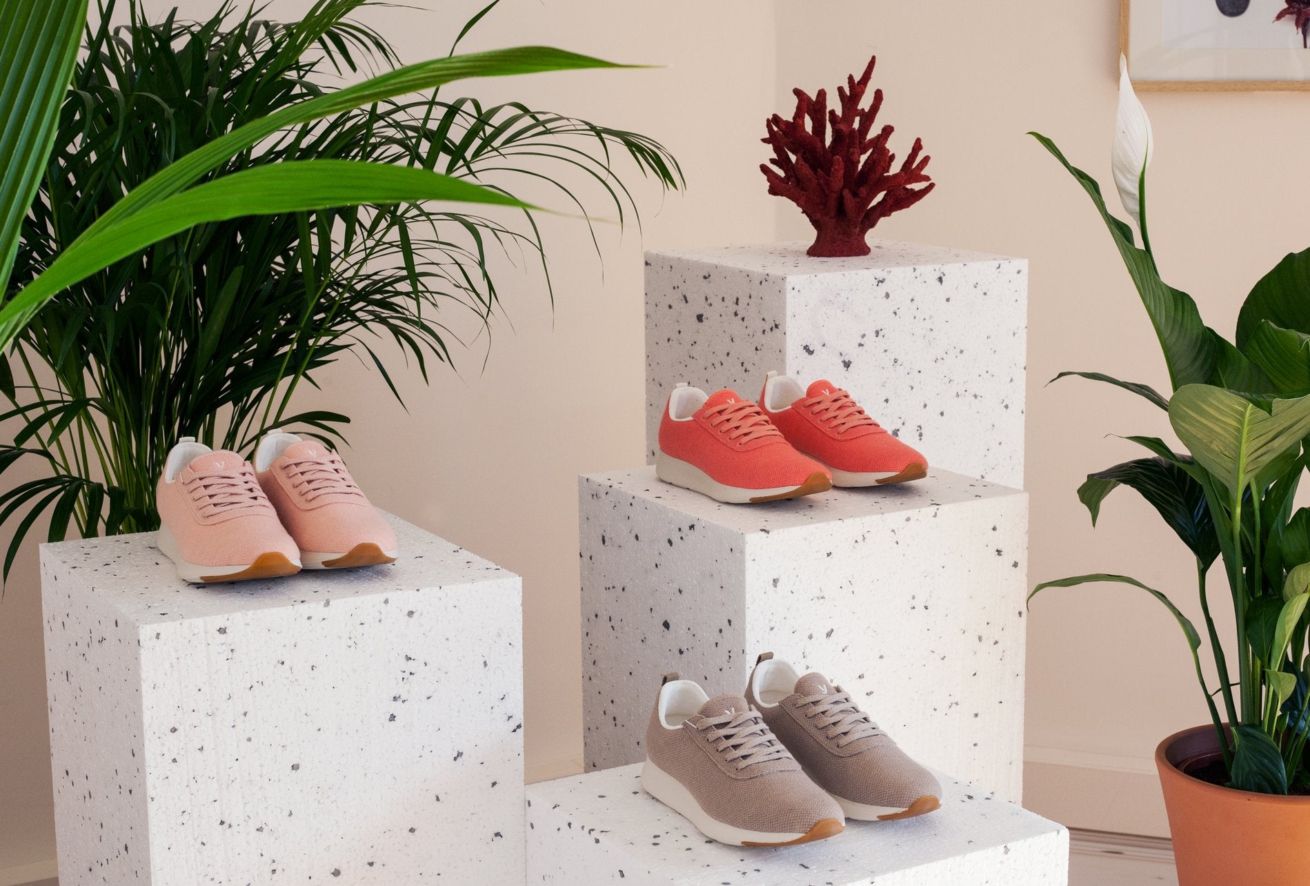 First official presentation of Yuccs in Madrid