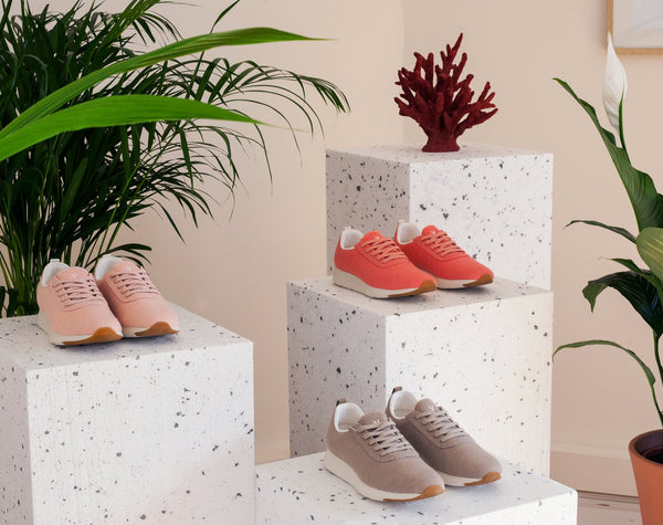 First official presentation of Yuccs in Madrid